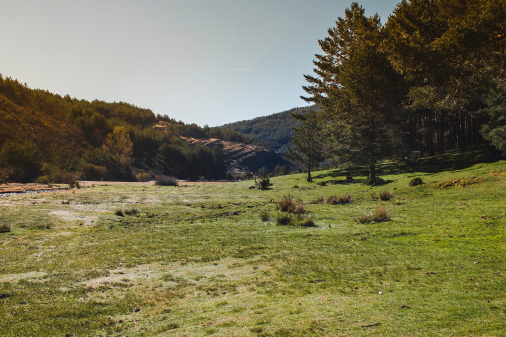 valoración de fincas de actividad cinegética